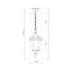 Подвесной уличный светильник Genova Arte Lamp A1204SO-1BN