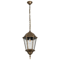 Подвесной уличный светильник Genova Arte Lamp A1204SO-1BN