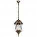 Подвесной уличный светильник Genova Arte Lamp A1204SO-1BN