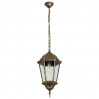 Подвесной уличный светильник Genova Arte Lamp A1204SO-1BN