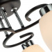 Потолочная люстра Krit Arte Lamp A4505PL-3BK