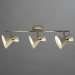 Спот Baltimore Arte Lamp A1406PL-3WG
