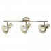 Спот Baltimore Arte Lamp A1406PL-3WG