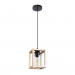 Подвесной светильник Dublin Arte Lamp A7025SP-1BK