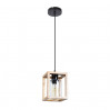 Подвесной светильник Dublin Arte Lamp A7025SP-1BK