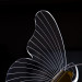 Подвесной светильник Darsy Arte Lamp A2187SP-2GO