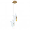 Подвесной светильник Darsy Arte Lamp A2187SP-2GO
