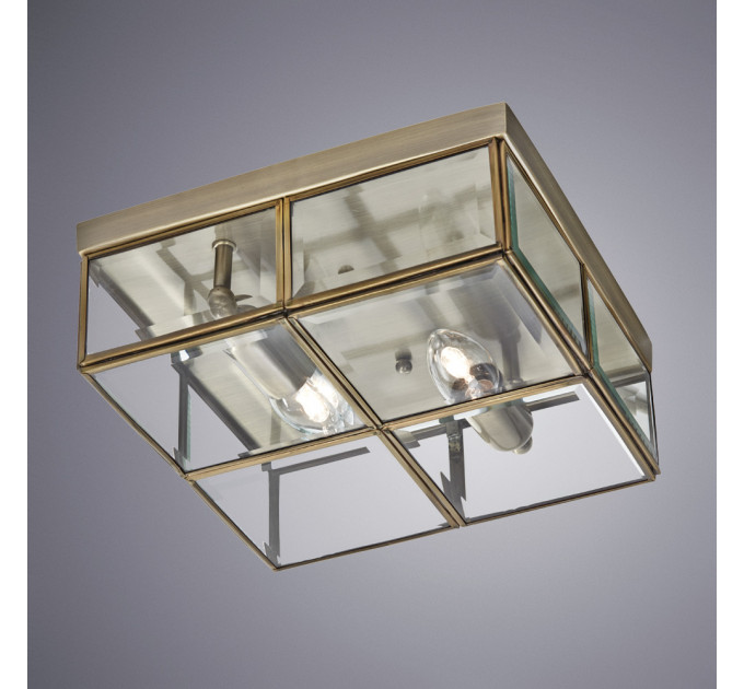 Потолочный светильник Scacchi Arte Lamp A6769PL-2AB