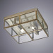 Потолочный светильник Scacchi Arte Lamp A6769PL-2AB