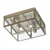 Потолочный светильник Scacchi Arte Lamp A6769PL-2AB
