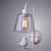 Настенное бра с птичкой Passero Arte Lamp 1*40W Е27 A4289AP-1WH