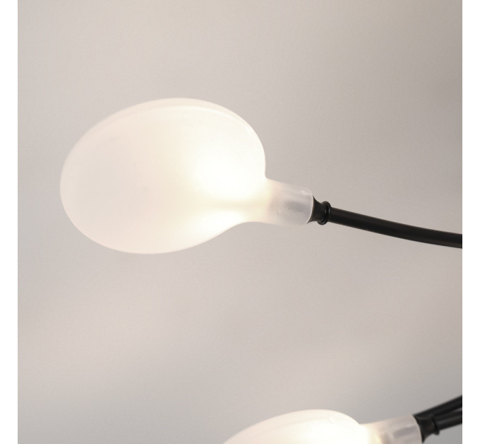 Потолочная люстра Arte lamp GUIMET A7423PL-20BK
