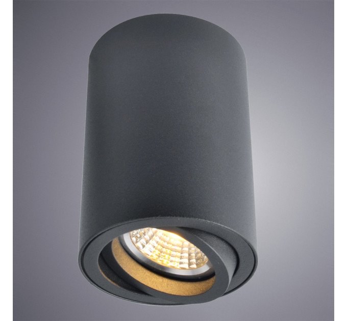 Накладной светильник Sentry Arte Lamp A1560PL-1BK