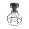 Потолочный светильник Spider Arte Lamp 1*60W Е27 черный A1109PL-1BK