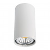 Накладной светильник Unix Arte Lamp A1516PL-1WH