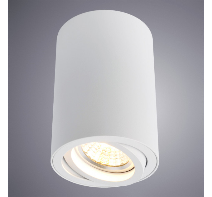 Накладной светильник Sentry Arte Lamp A1560PL-1WH