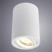 Накладной светильник Sentry Arte Lamp A1560PL-1WH