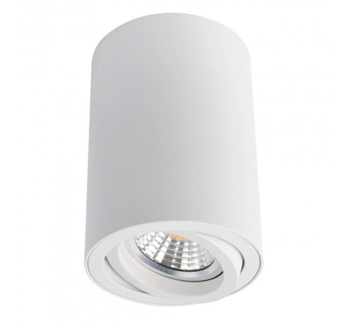 Накладной светильник Sentry Arte Lamp A1560PL-1WH