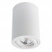 Накладной светильник Sentry Arte Lamp A1560PL-1WH
