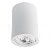 Накладной светильник Sentry Arte Lamp A1560PL-1WH