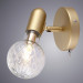Настенное бра Salute Arte Lamp A8040AP-1SG