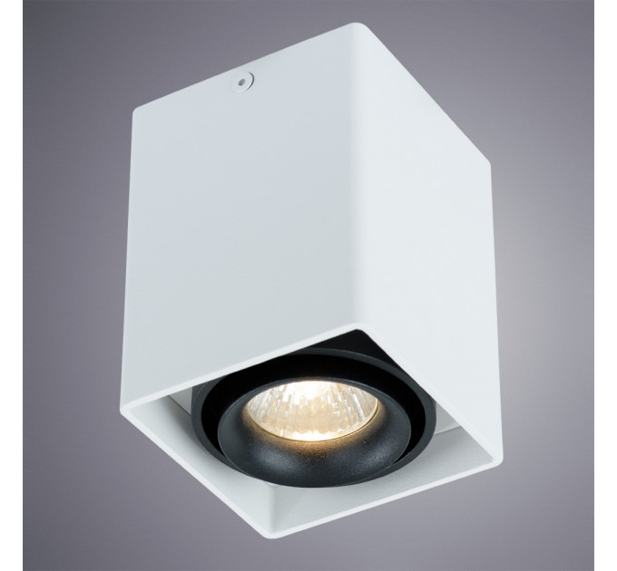 Накладной светильник Pictor Arte Lamp A5655PL-1WH