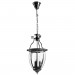 Подвесной светильник Rimini Arte Lamp A6509SP-3CC