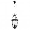Подвесной светильник Rimini Arte Lamp A6509SP-3CC