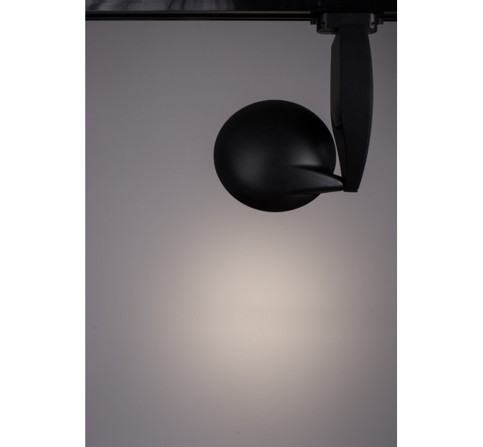 Трековый светильник Arte Lamp Nota A4235PL-1BK