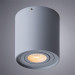 Накладной светильник Falcon Arte Lamp 1*50W GU10 серый A5645PL-1GY