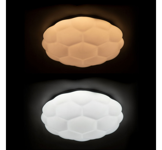 Потолочный светильник Biscotti Arte Lamp LED  A2676PL-72WH