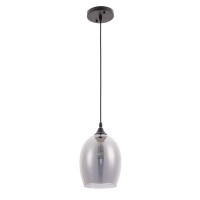 Подвесной светильник Propus Arte Lamp A4344SP-1BK