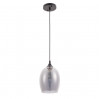 Подвесной светильник Propus Arte Lamp A4344SP-1BK