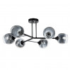 Потолочная люстра Salm Arte Lamp A3580PL-6BK