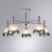 Потолочная люстра Fiamma Arte Lamp A3521PL-5CC