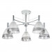 Потолочная люстра Fiamma Arte Lamp A3521PL-5CC