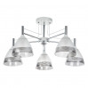 Потолочная люстра Fiamma Arte Lamp A3521PL-5CC