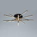 Потолочная люстра Arte Lamp FERNANDO A2199PL-6BK
