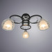 Потолочная люстра Ginevra Arte Lamp 3*40W Е14 A1604PL-3BK
