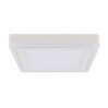 Светильник Arte Lamp ALTAIR A7724PL-2WH
