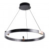 Подвесная люстра Arte Lamp CESARE A1993SP-30BK