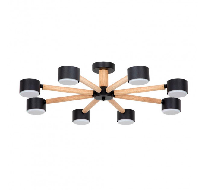 Потолочная люстра Arte Lamp TENDA A1624PL-8BK