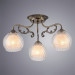 Потолочная люстра Charlotte Arte Lamp A7062PL-3AB