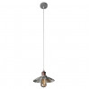 Подвес Asti Arte Lamp A8160SP-1GY