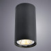 Накладной светильник Unix Arte Lamp A1516PL-1BK