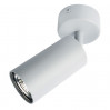 Спот Aquarius Arte Lamp серый A3216PL-1GY