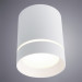 Накладной светильник Elle Arte Lamp A1909PL-1WH