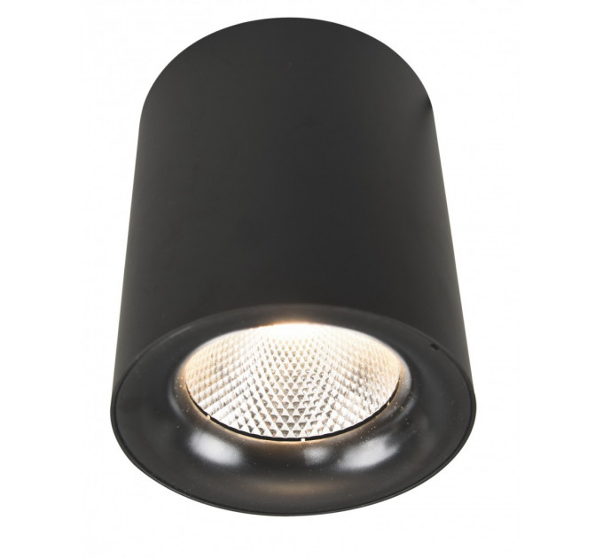 Накладной светильник Facile Arte Lamp A5118PL-1BK