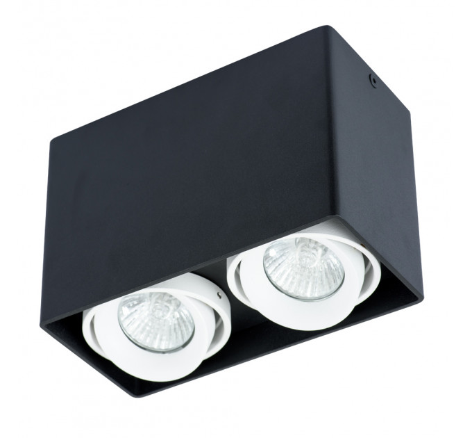 Накладной светильник Pictor Arte Lamp A5655PL-2BK