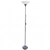 Торшер Arte Lamp Duetto A9569PN-1SI